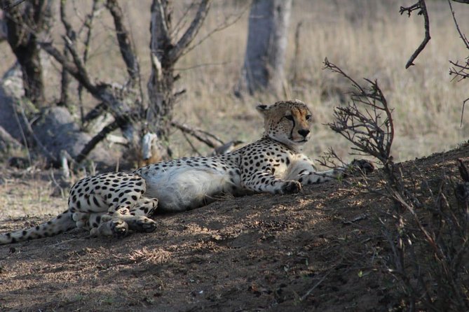 3 Day Greater Kruger National Park Adventure Safari - The Sum Up