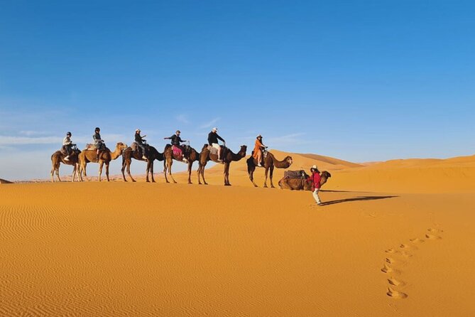 3 Day Group Tour From Marrakech To Fes Via Merzouga Desert Dunes - Good To Know
