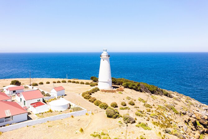 3-Day Guided Sea Dragon Kangaroo Island Experience - Travelers Information