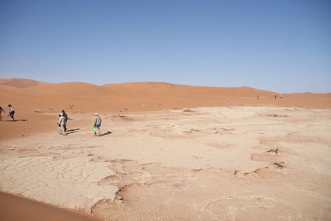 3 Day Guided Sossusvlei Tour - Tour Operator Information