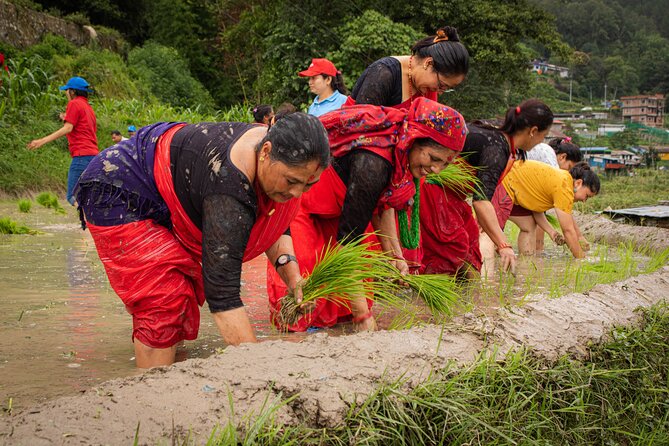 3-Day Guided Tour in Nagarkot With Ropain Festival Experience - Day 1: Arrival in Nagarkot