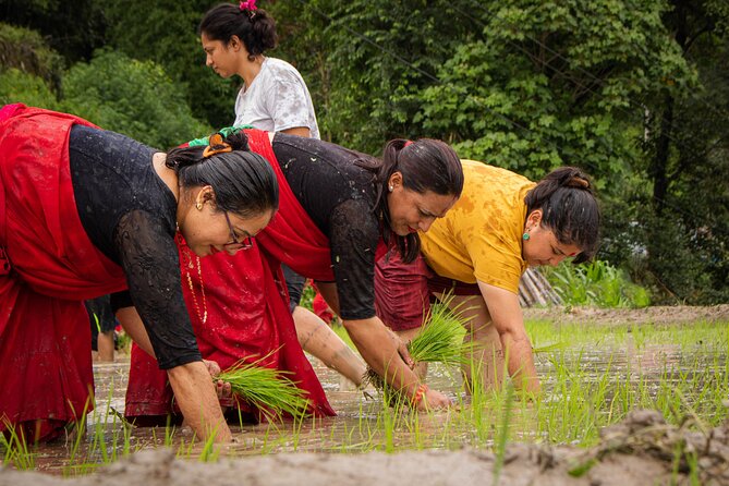 3-Day Guided Tour in Nagarkot With Ropain Festival Experience - Essential Tips for the Nagarkot Tour