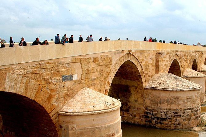 3-Day Guided Tour of Cordoba, Seville and Costa Del Sol From Madrid - Exploring the Charming Seville