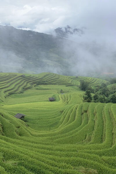 3-Day Ha Giang Loop Group Tour by Car, Motorbike & Easyrider - Dietary Needs and Weather
