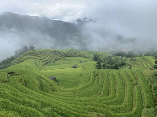 3-Day Ha Giang Loop Group Tour by Car, Motorbike & Easyrider - Frequently Asked Questions