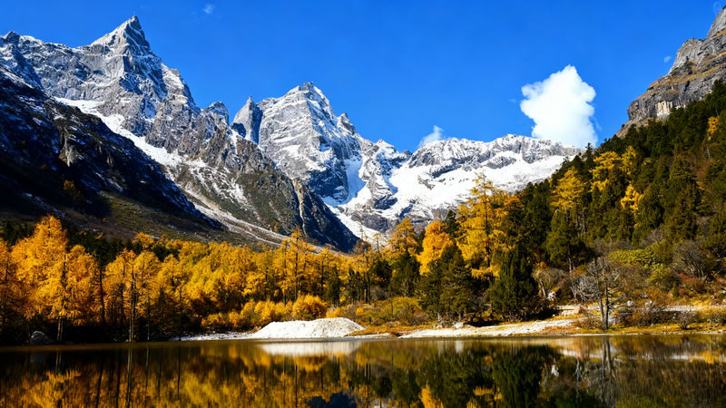 3-Day High-Quality Bullet Train Tour to Jiuzhaigou, Chengdu, Sichuan - Jiuzhaigou deserves the full day