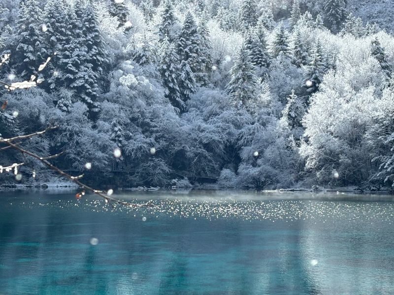 3-Day High-Quality Bullet Train Tour to Jiuzhaigou, Chengdu, Sichuan - The Minjiang River source makes a quieter final stop