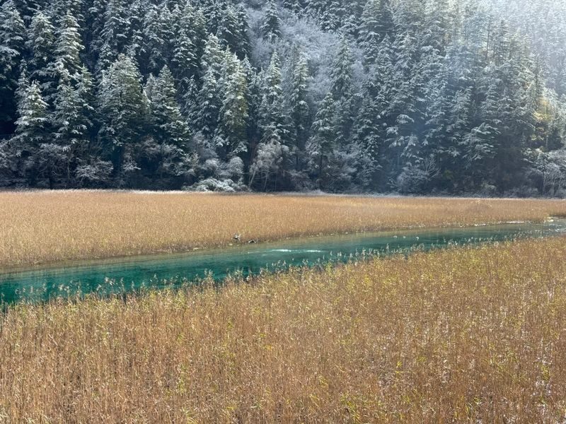3-Day High-Quality Bullet Train Tour to Jiuzhaigou, Chengdu, Sichuan - Altitude, ticket documents, and other details to settle