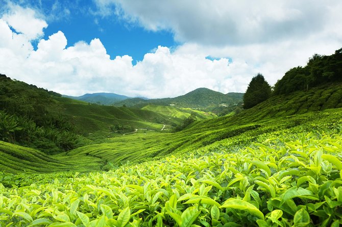 3-Day Hill Country Tour of Sri Lanka - Important Reminders