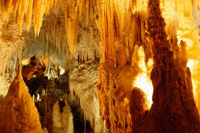 3-Day Hobbiton and Waitomo Tour From Auckland With Accommodation - The Sum Up