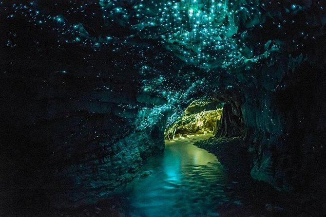 3-Day Hobbiton, Rotorua, Te Puia and Waitomo Tour From Auckland - Pricing and Guarantee