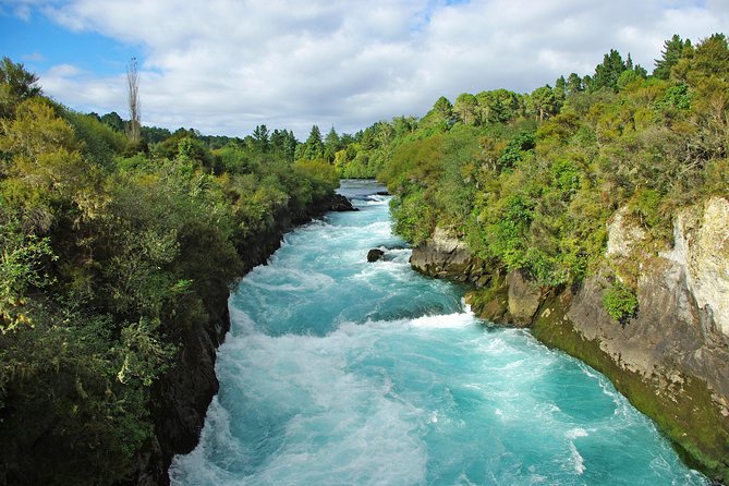 3-Day Hobbiton, Rotorua, Te Puia and Waitomo Tour From Auckland - Traveler Photos