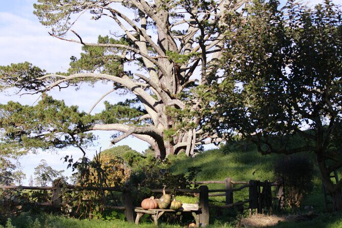 3 Day Hobbiton Rotorua Waiotapu Taupo and Waitomo Caves Tour - What Makes This Tour Stand Out