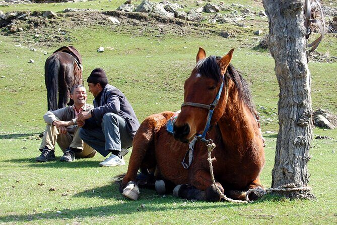 3-Day Horse Riding Tour through the Nuratau Mountains - Authentic Experiences and Highlights
