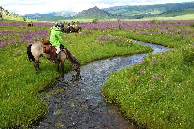3-Day Horse Trekking Tour in Mongolia Terelj National Park - FAQ