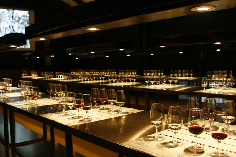 3-Day Hunter Valley Return Trip by Scenic Train from Sydney - Who this trip suits best