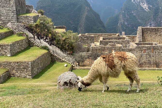 3-Day Inca Jungle Trek to Machu Picchu - Essential Tips for the Trek