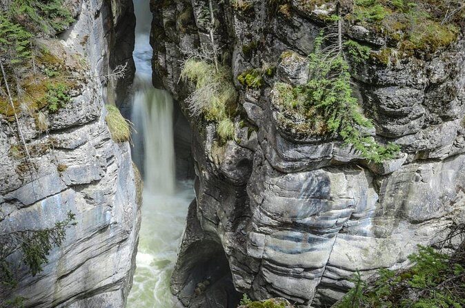 3-Day Jasper and Icefield Tour from Calgary - The Sum Up