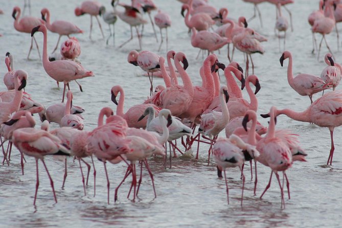 3 Day Joined Group Mid-range Safari Serengeti and Ngorongoro National Park - Frequently Asked Questions