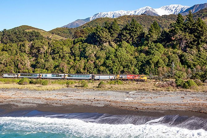 3 Day Kaikoura Sealife and Coach Tour From Christchurch - Booking and Pricing Information