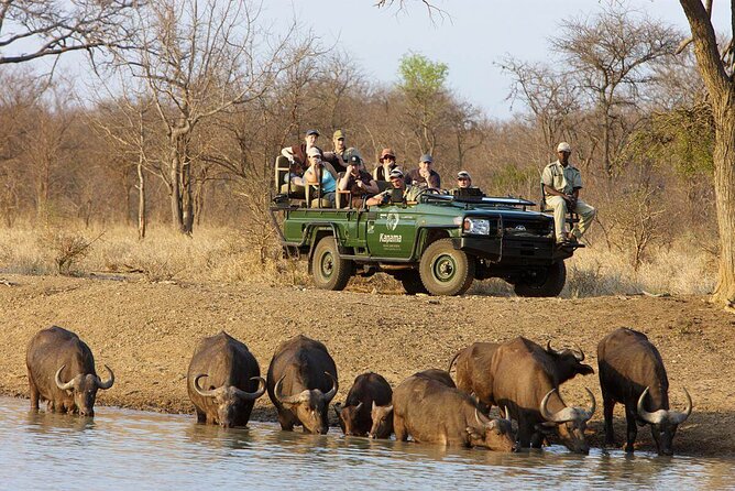 3 Day Kapama Karula Lodge Small Group Guided Safari - Day 1: Johannesburg to Kapama Private Game Reserve