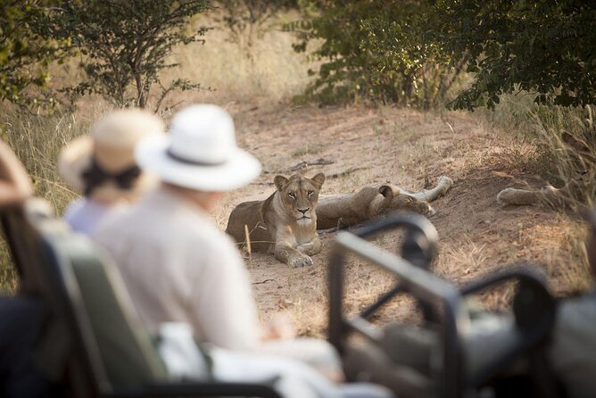 3 Day Kapama Southern Camp Safari - Day 1: Johannesburg to Kapama Private Game Reserve
