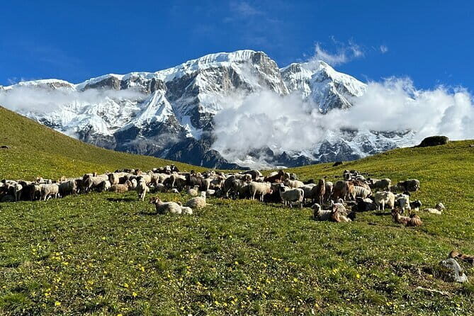 3 Day Kapuche Glacier Lake Trek with Siklesh from Pokhara - Who Is This Trek Best Suited For?