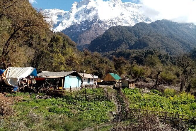 3 Day Kapuche Glacier Lake Trek with Siklesh from Pokhara - FAQ