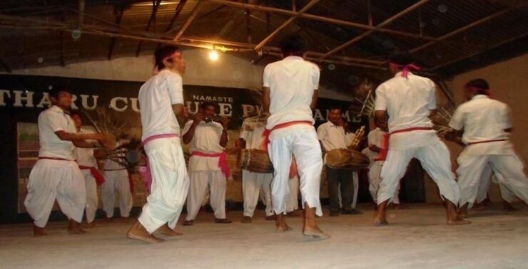 3-Day Kathmandu/Pokhara: Chitwan Jungle Tour-Includes Meals - Key Points