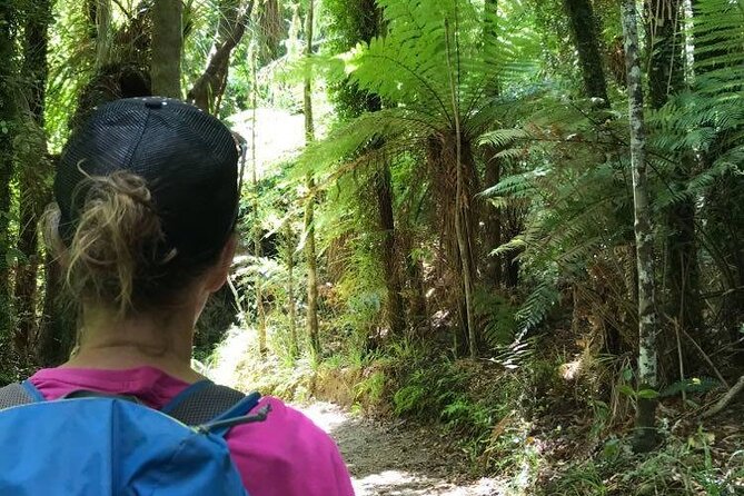 3 Day Kayak & Walk North New Zealand - Pricing and Booking
