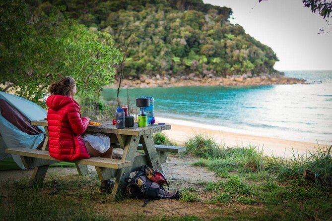 3 Day Kayak & Walk North New Zealand - Day 3: Return and The Sum Up