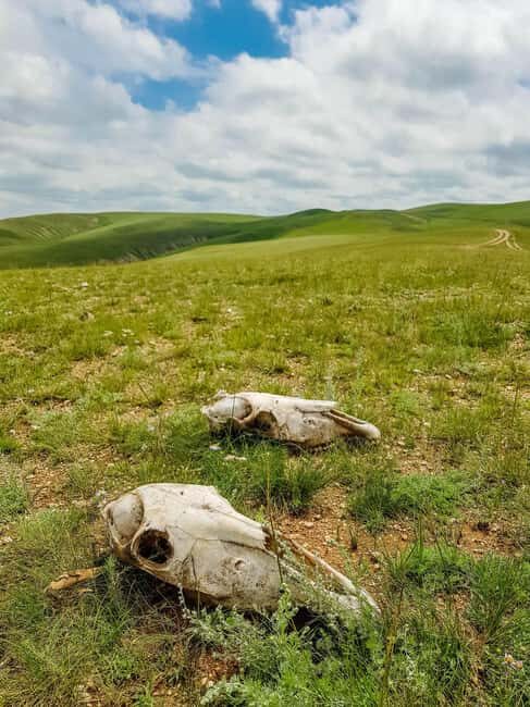 3 day Khar khorum budget tour Central Mongolia - Final Thoughts