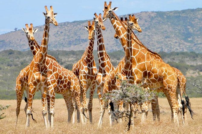 3-Day Kruger National Park Big 5 Tented Safari - Itinerary Overview