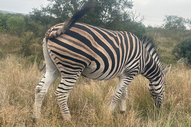 3 Day Kruger National Park End With Panaroma - The Sum Up