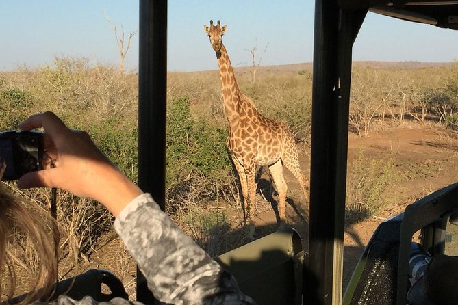 3-Day Kruger National Park Open Vehicle Safari - Start Time and Opening Hours