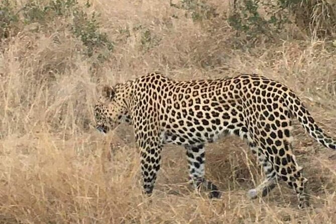 3 Day Kruger National Park Safari & Panorama Route - Questions and Inquiries