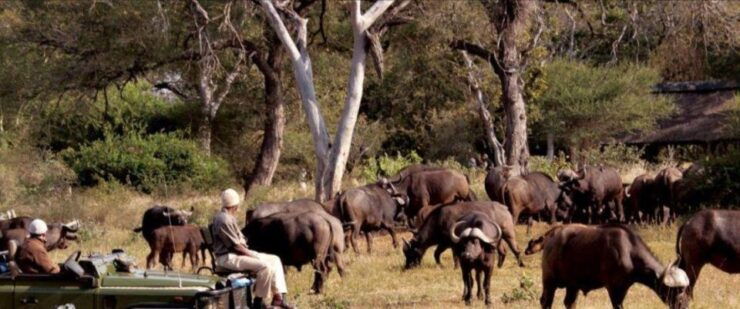 3 Day Kruger National Park Tour From Johannesburg - Good To Know