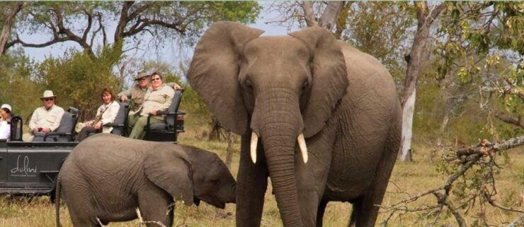 3 Day Kruger National Park Tour From Johannesburg - Booking Information