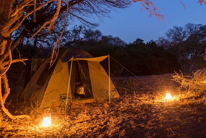 3 Day Kruger Park Camping Safari Adventure - Top Wildlife Sightings and Experiences in Kruger National Park