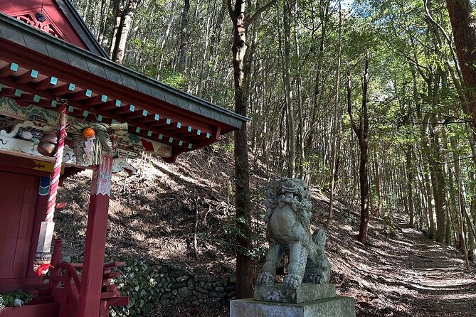 3 Day Kumano Kodo Pilgrimage Route Walking Tour From Osaka - Health & Safety Guidelines