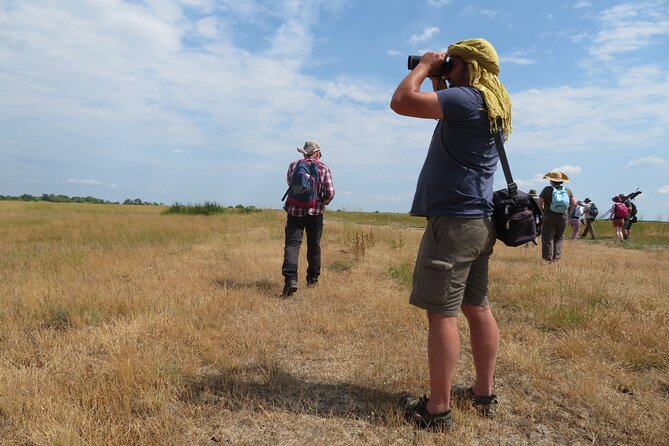3-Day Lake Kis-Balaton Safari With Overnight at Cottage House - Included Activities