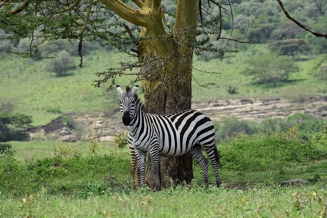 3-Day Lake Naivasha and Nakuru National Park Superior - Meals and Dining Options