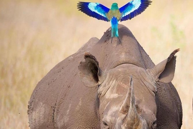 3-Day Lodge Safari-Tarangire, Manyara, Ngorongoro Crater - Inclusions and Exclusions