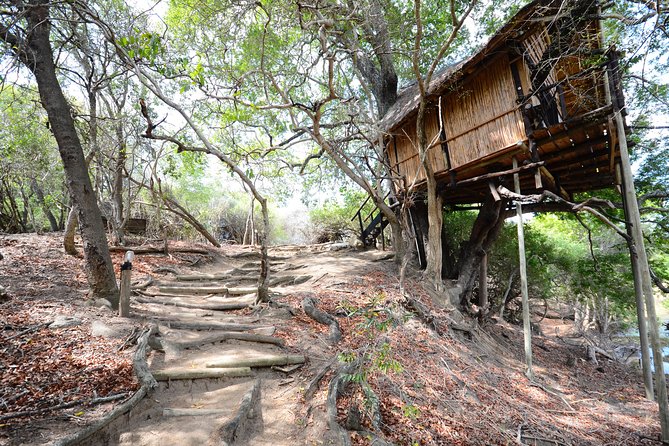 3 Day Lodge/Treehouse Kruger National Park Safari - Cancellation Policy