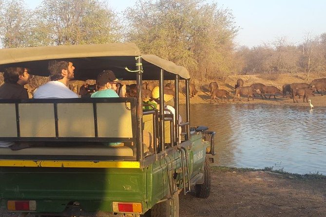 3 Day Lodge/Treehouse Kruger National Park Safari - Common Questions