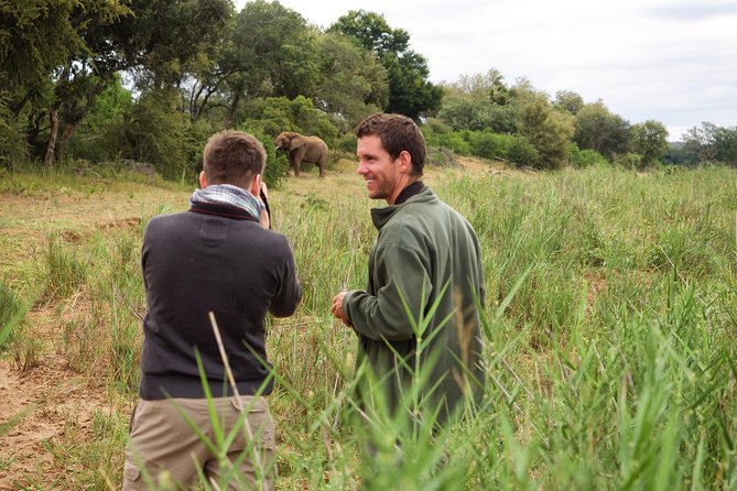 3 Day Lodge/Treehouse Kruger National Park Safari - The Sum Up