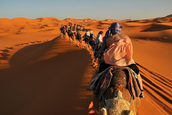 3-Day Luxury Desert Tour From Marrakech to Merzouga Desert - Pricing and Options