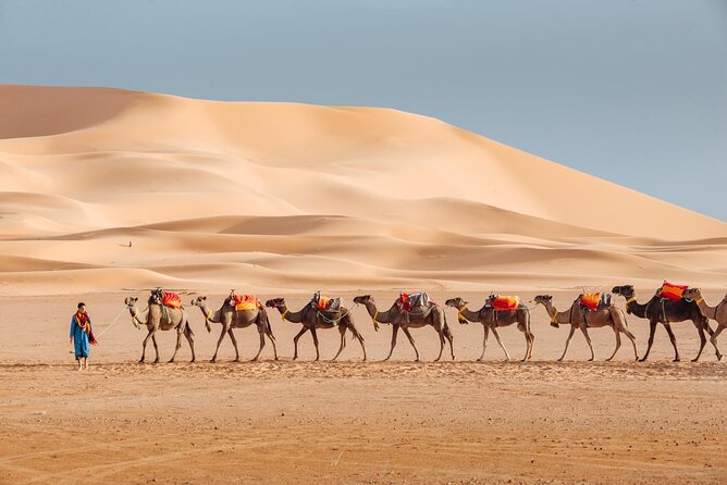 3-Day Luxury Desert Tour Marrakech To Fes - Good To Know
