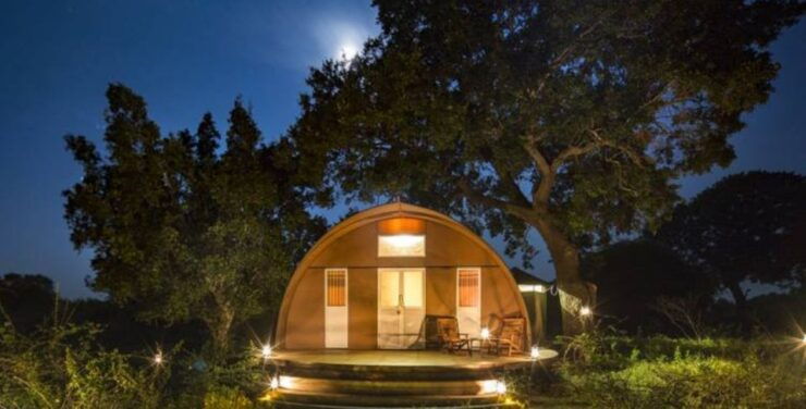 3-Day Luxury Glamping in Yala National Park - Glamping Accommodation Options