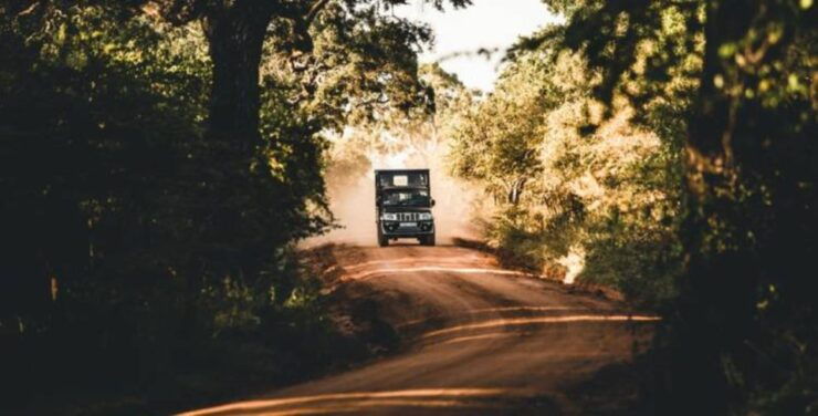 3-Day Luxury Glamping in Yala National Park - Wildlife Safari and Game Drives